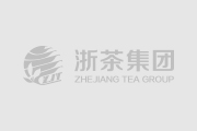 浙茶集团第二党支部走进茶博会开展主题教育活动